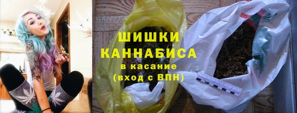 ПСИЛОЦИБИНОВЫЕ ГРИБЫ Иннополис