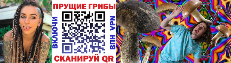 закладки  OMG онион  Псилоцибиновые грибы Cubensis  Калязин 